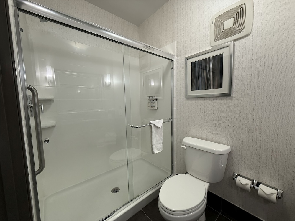 Holiday Inn Carlsbad by IHG - photo 27