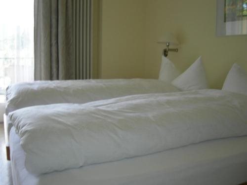 Hotel Zelindo — Losone — photo 2