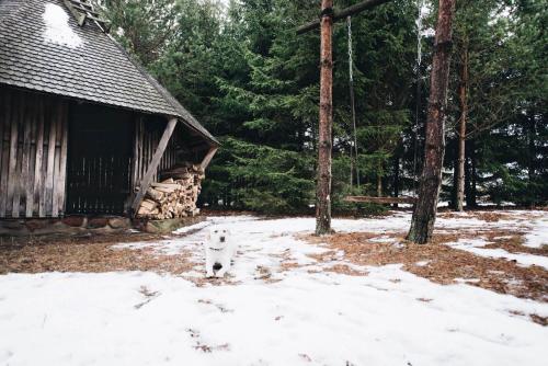 Pakaso sodyba — Ignalina — photo 5