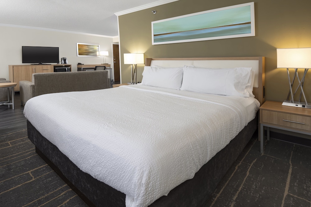 Holiday Inn Greenville by IHG - photo 19