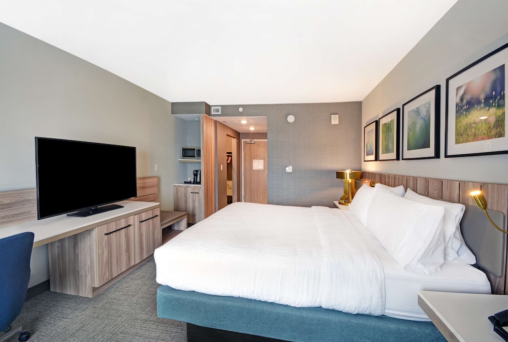 Hilton Garden Inn Houston Hobby Airport TX - photo 10