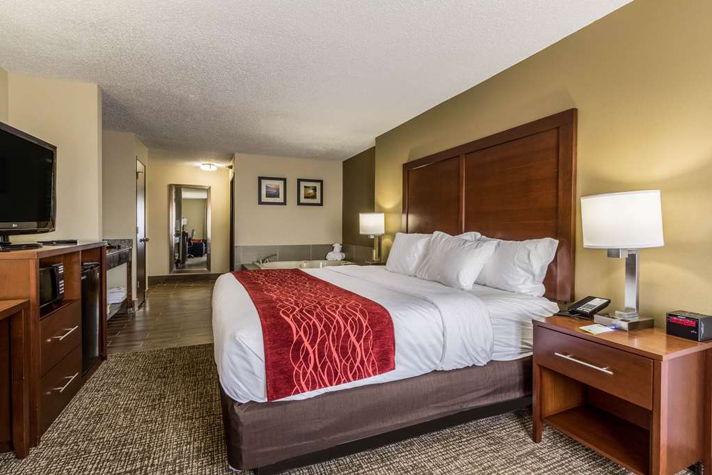 Comfort Inn Norwalk Sandusky - photo 25