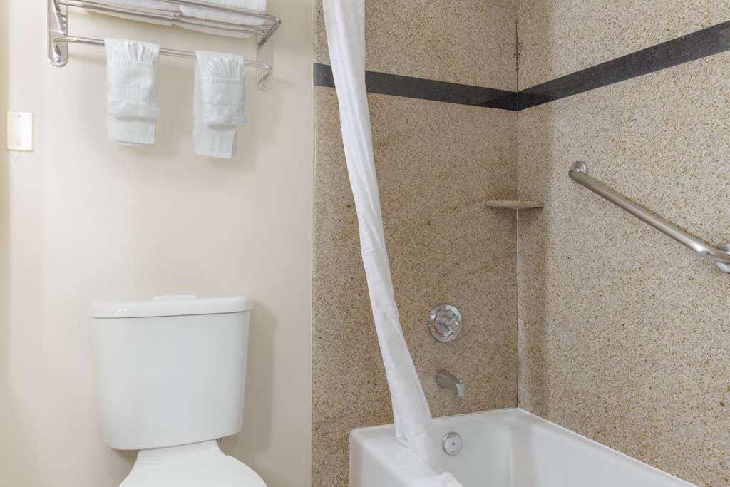 Comfort Suites Oceanside Camp Pendleton Area - photo 12