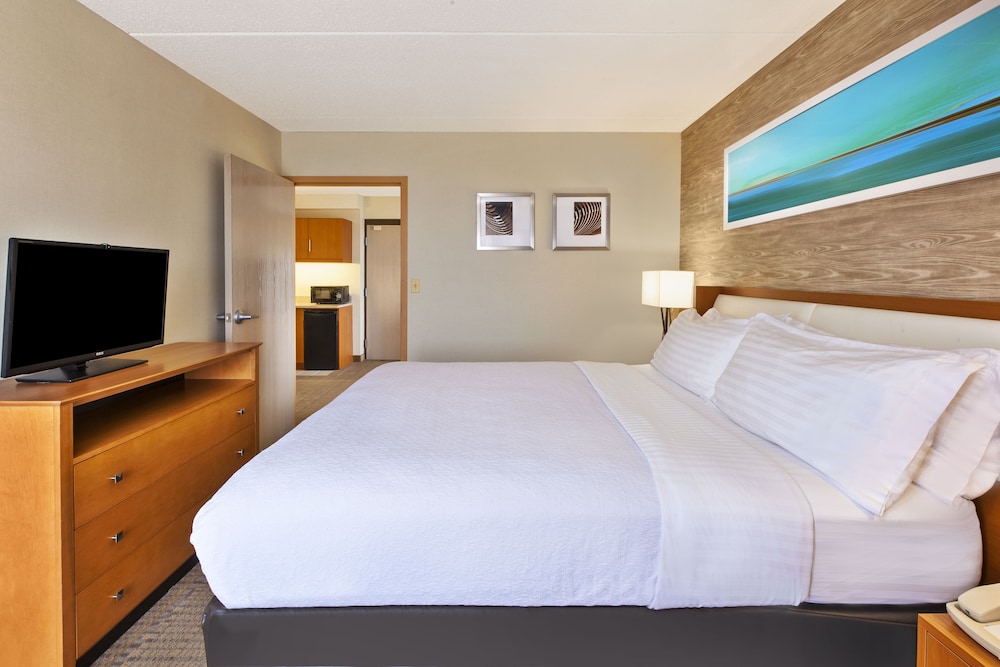 Holiday Inn & Suites Bolingbrook by IHG - photo 15