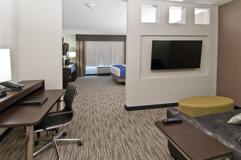 Holiday Inn Austin Airport by IHG - photo 6