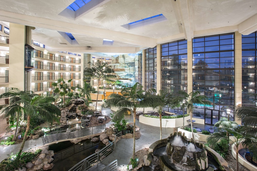 Embassy Suites by Hilton Phoenix Biltmore - photo 3