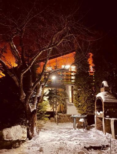 Cabana Busteni in Busteni, Romania