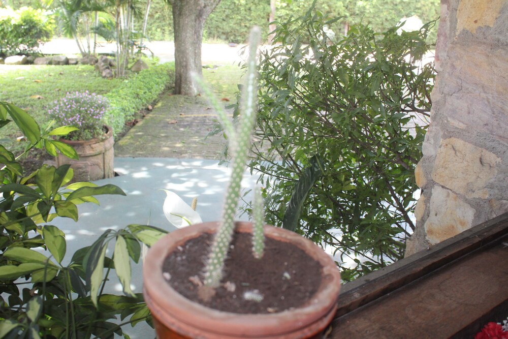 Hotel Bristol Aeropuerto in Alajuela, Costa Rica