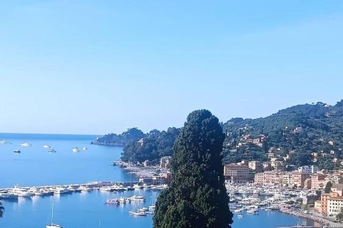 Due Rose — Recco — photo 5