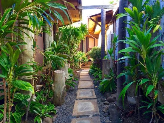 The ilikahi - photo 6