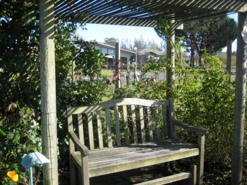 Pearlessence Vineyard Inn - photo 4