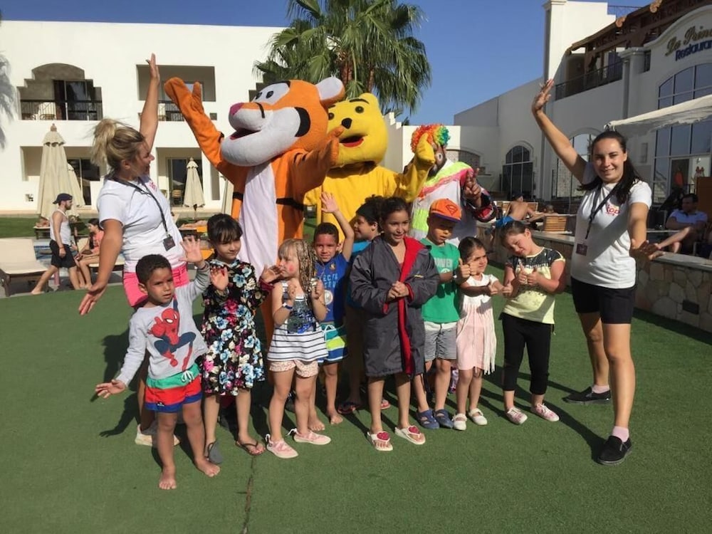 שטחי חוץ / גן