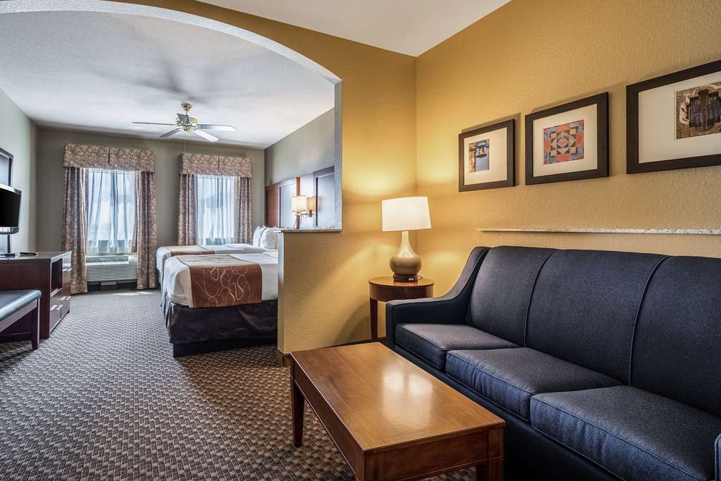 Comfort Suites Near Texas State University - photo 20