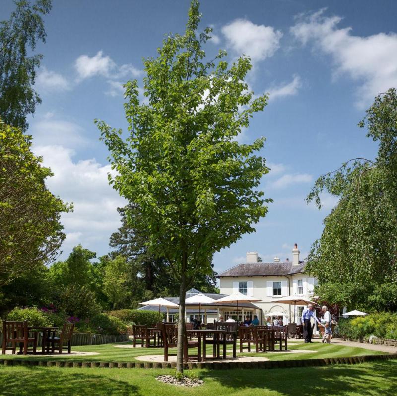 The Vineyard — Newbury — photo 4