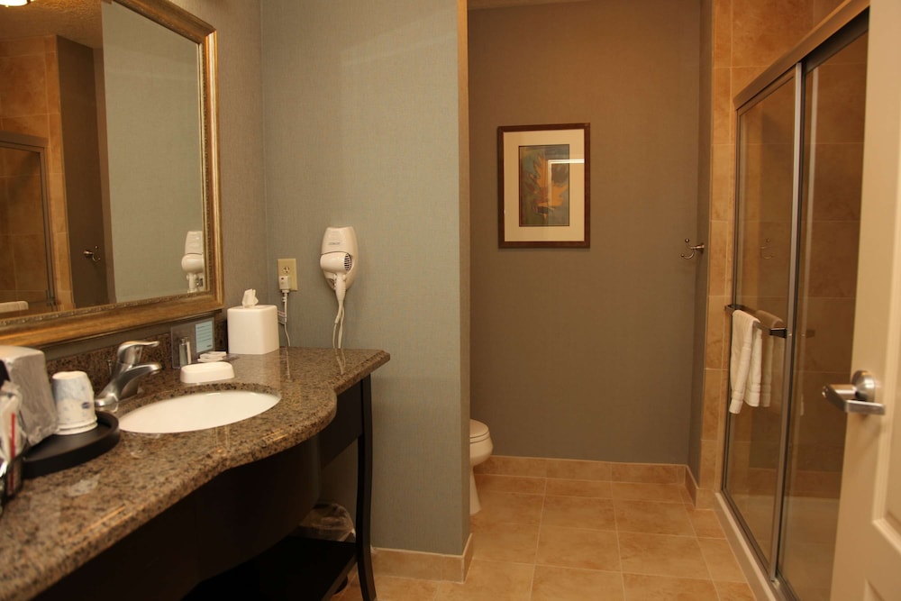 Hampton Inn & Suites Carlsbad - photo 30