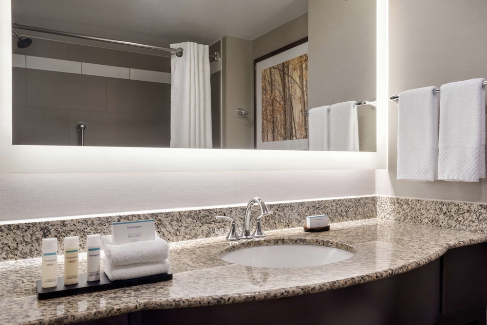 Embassy Suites by Hilton Atlanta Alpharetta - photo 19