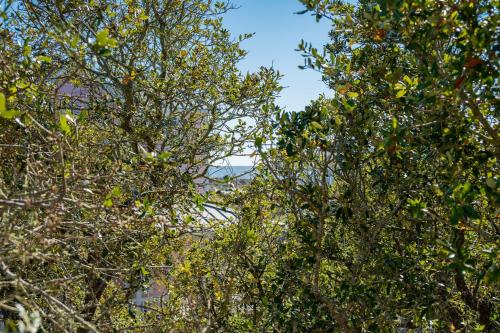 Alta Mira by Oak Island Accommodations - photo 15
