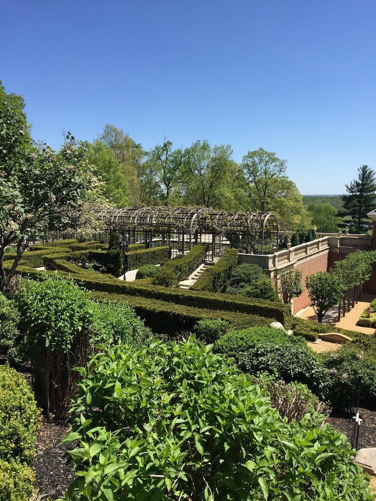 Albemarle Estate at Trump Winery - photo 144