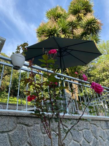 Green Cape Holiday Home