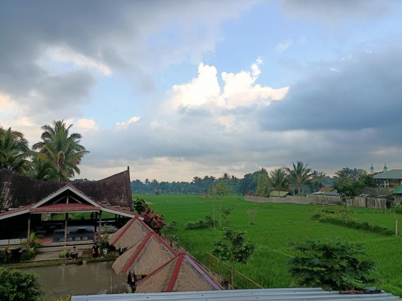 Lemon Tree Tetebatu — Unknown City — photo 4