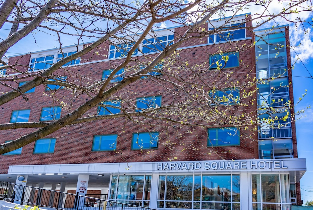 Harvard Square Hotel - photo 19