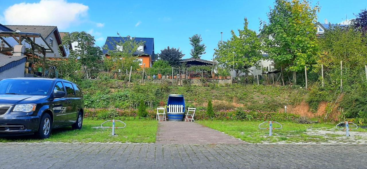 Blue Lagoon Holiday Apartments & Double Room with Balcony — 4-Star Luxury Hotel in Nehren, Germany