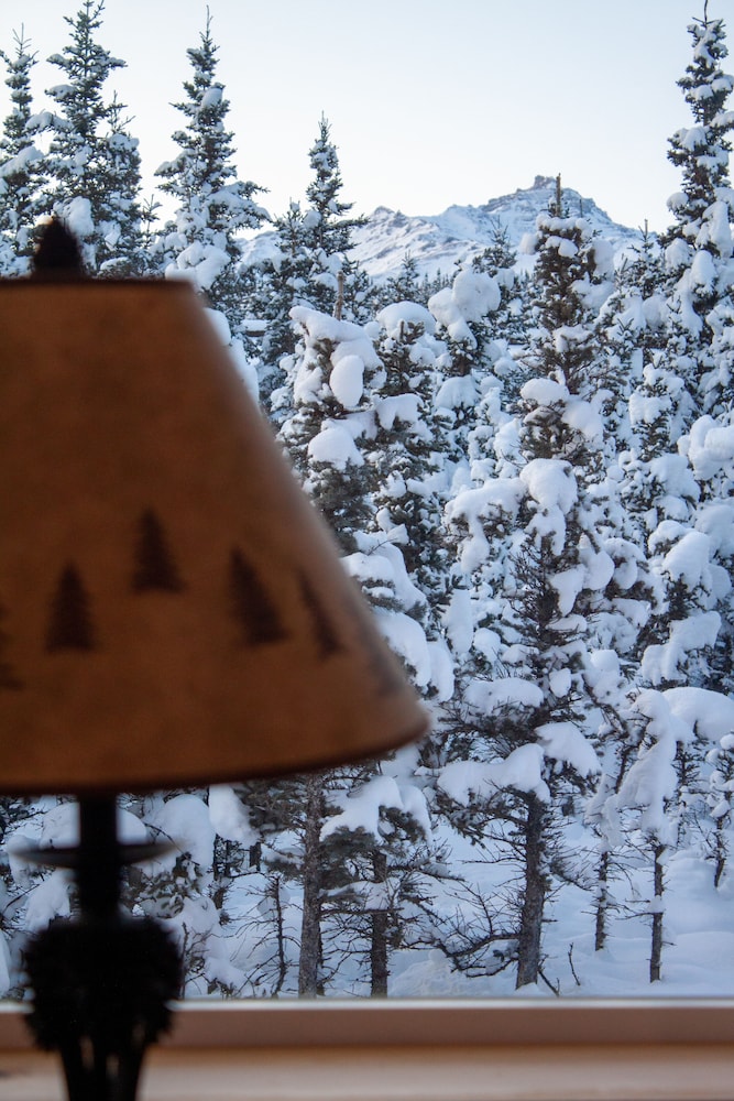 Denali Wild Stay - photo 84