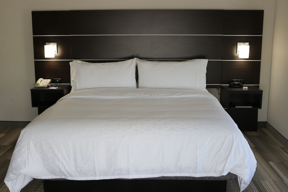 Holiday Inn Express Hotel & Suites El Dorado Hills - photo 11