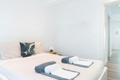 EnCanto Terrace House — Ponta Delgada — photo 3