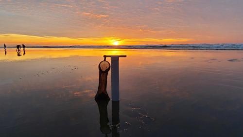 Lighthouse Oceanfront Resort - photo 18