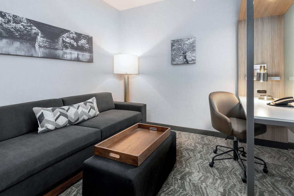 SpringHill Suites by Marriott Indianapolis Westfield - photo 10