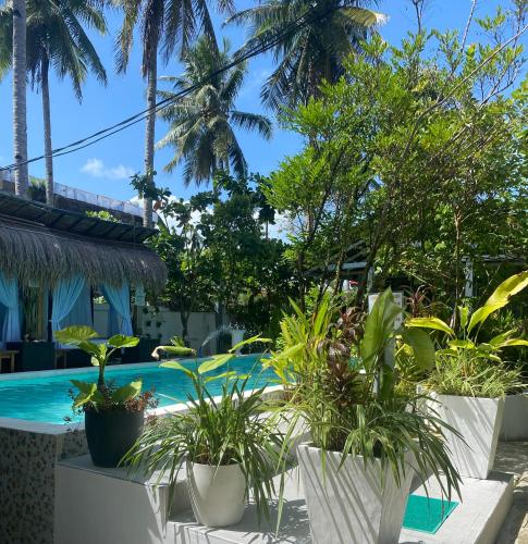 Siargao Residency in General Luna, Philippines