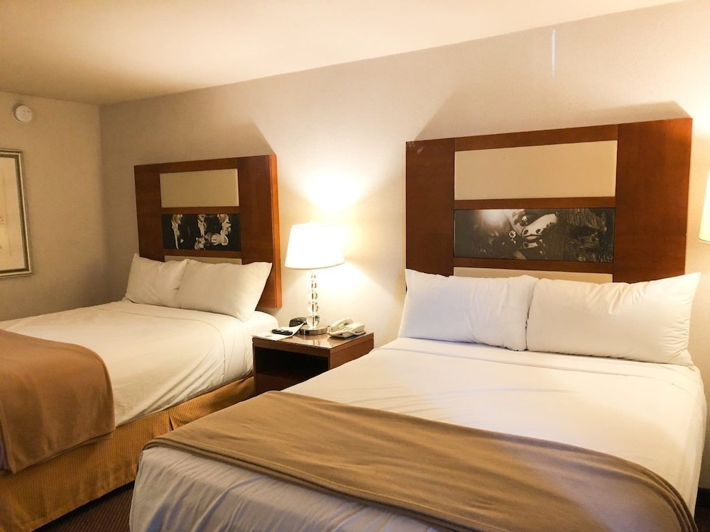 Sunrise Inn Hotel - photo 16
