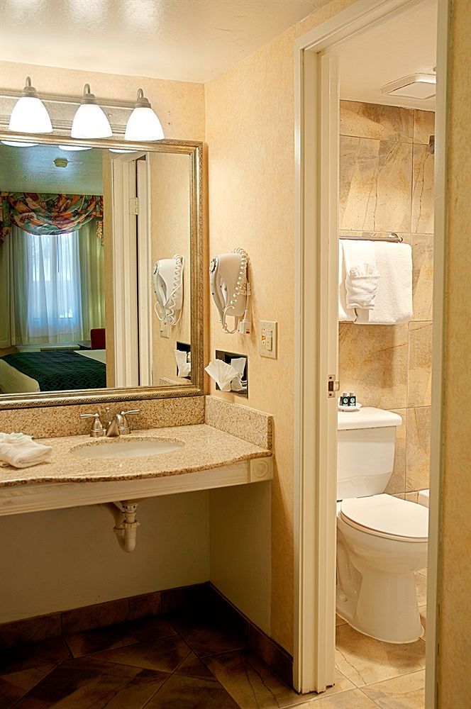 Tempe Phoenix Airport InnSuites at the Mall Hotel - photo 9