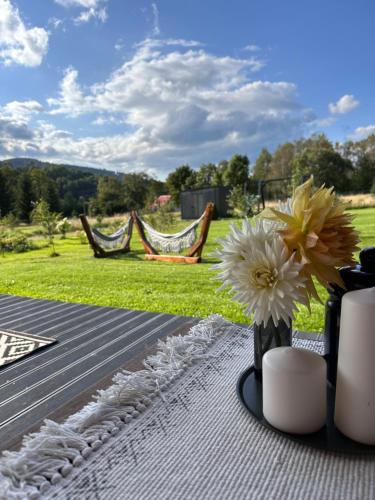 Polna Mięta in Stronie Slaskie, Poland