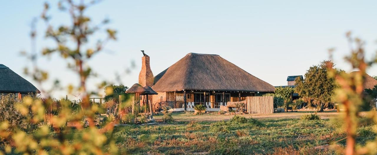 Charihandra Game Lodge — 4-Star Luxury Hotel in Port Elizabeth, South Africa