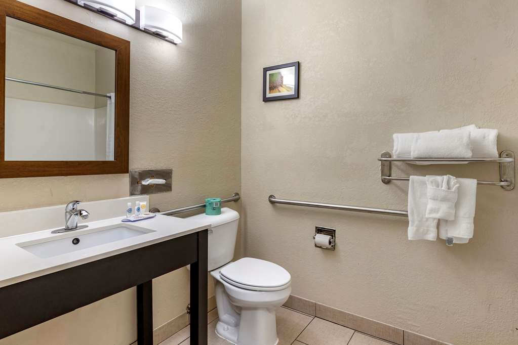 Comfort Inn Oklahoma City South I 240 - photo 8