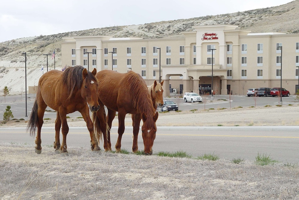 Hampton Inn & Suites Green River - photo 37