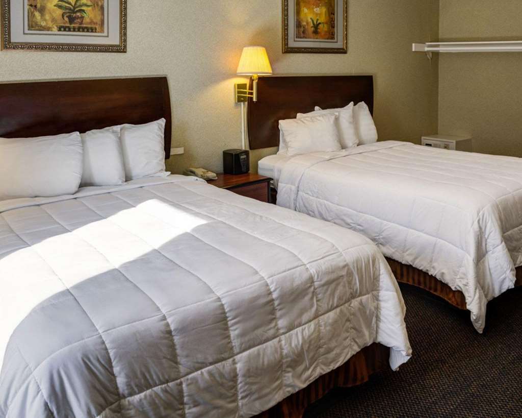 Rodeway Inn near Venice Beach - photo 15