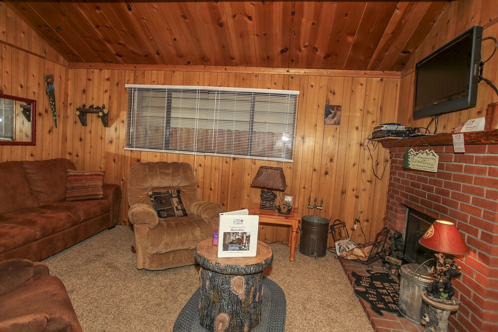 Bearadise - photo 11