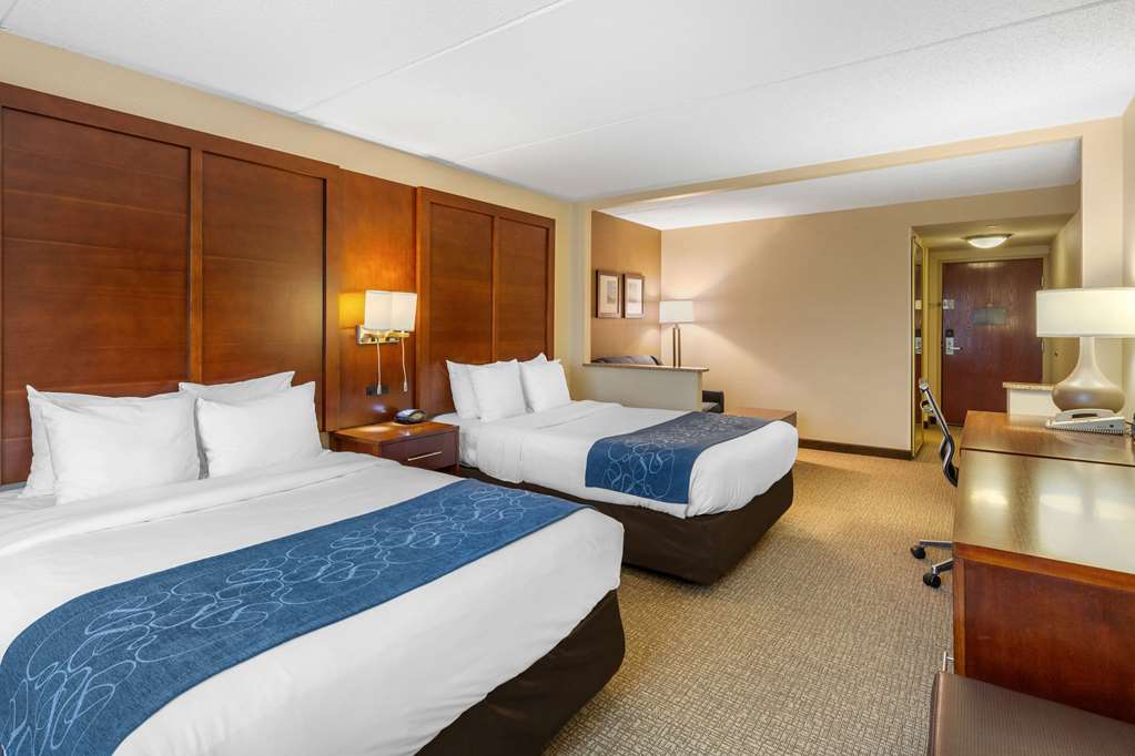 Comfort Suites Manassas Battlefield Park - photo 15