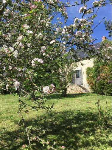 La bergerie Point de vue sur la Creuse - last minute hotel in Unknown City