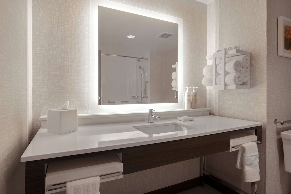 Hampton Inn Chicago Orland Park - photo 29