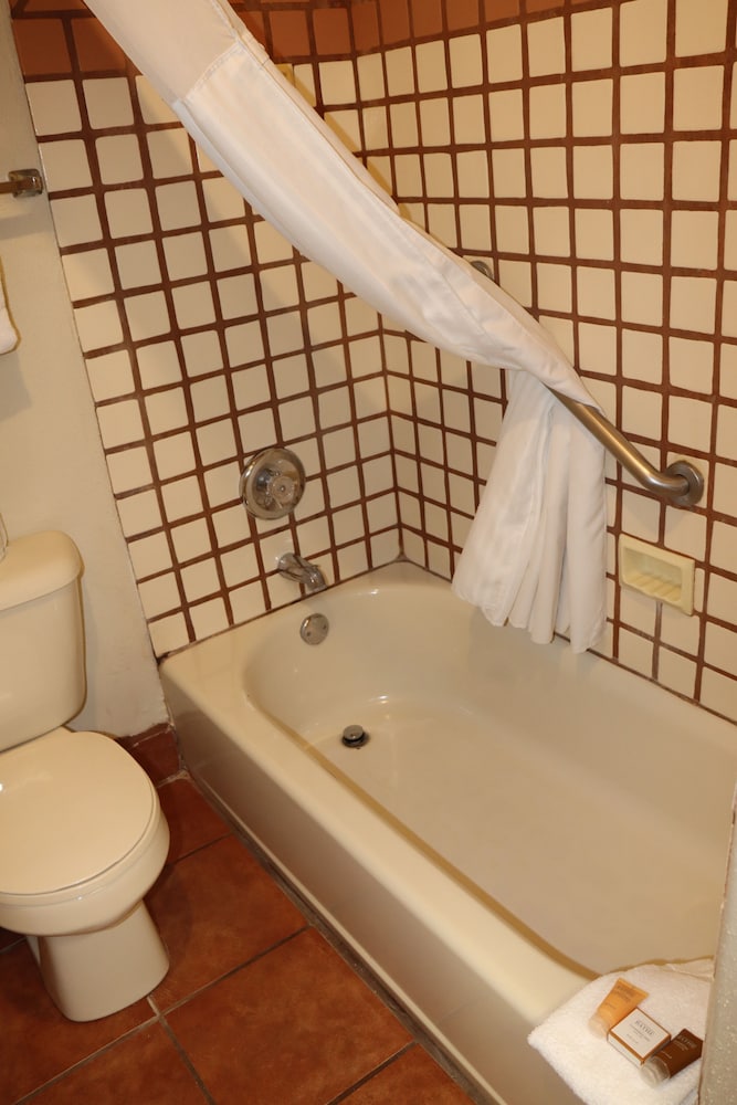 Sagebrush Inn & Suites - photo 60