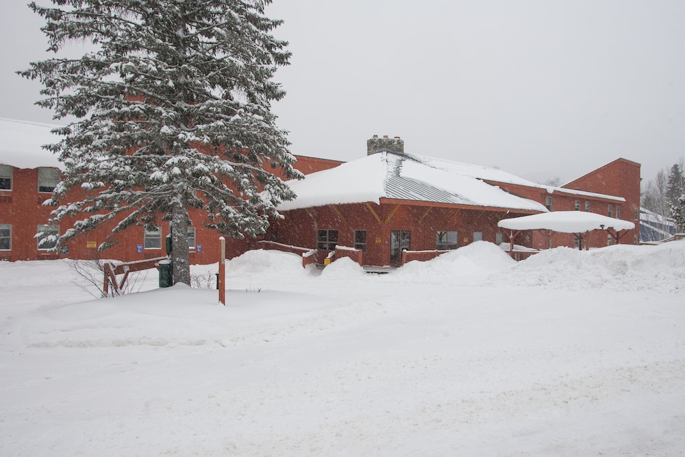 Snow Cap Inn - photo 21