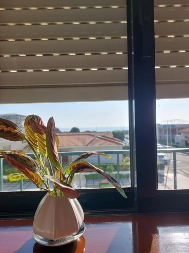 Praia Azul Boutique Apartment — 4-Star Luxury Hotel in Vila Do Conde, Portugal