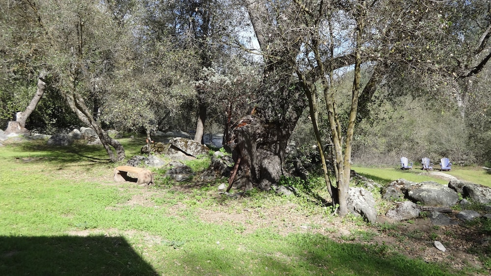 Little Valley Inn - photo 24