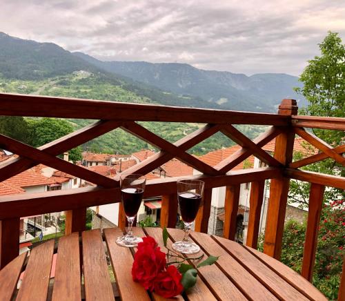 Apostolos Hotel — Metsovo