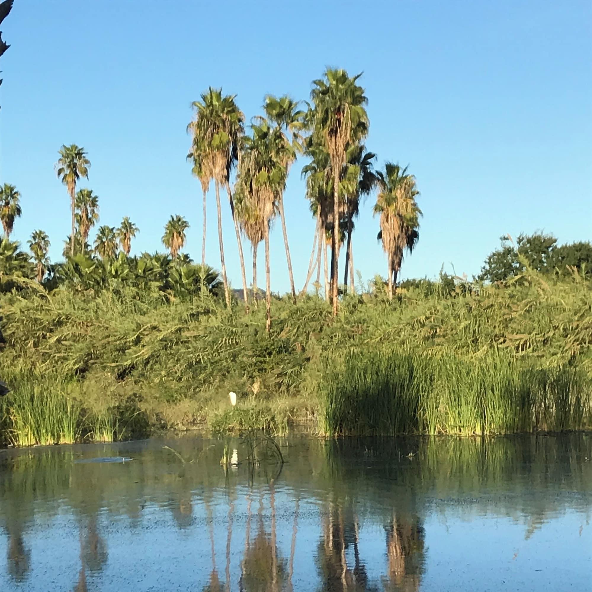 Hotel Posada Señor Mañana in San Jose Del Cabo, Mexico