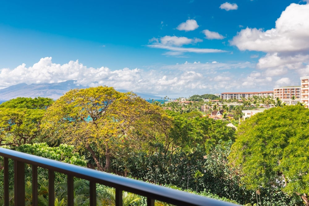 Four Seasons Resort Maui at Wailea - photo 163